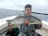 Merrimack River Striped Bass caught byCade Norris